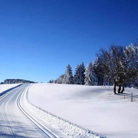 Hotel Logis Le Vernay Autrans-Meaudre-en-Vercors